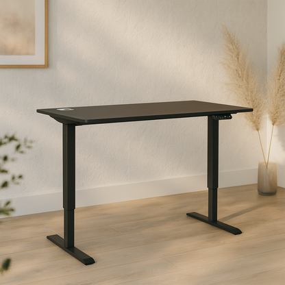 FlexPro Sit-Stand Smart Desk | Black Matt