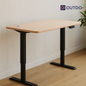 FlexPro Sit-Stand Smart Desk | Clay