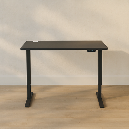 FlexPro Sit-Stand Smart Desk | Black Matt