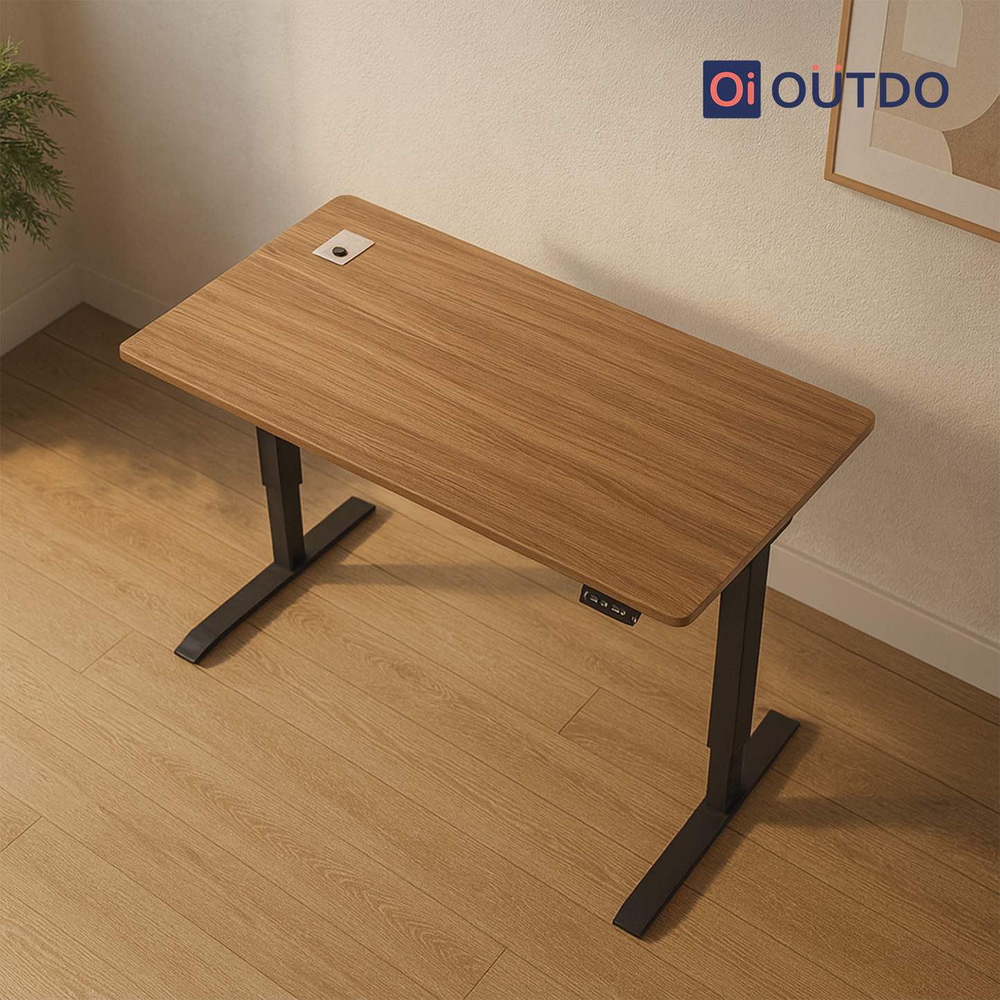 FlexPro Sit-Stand Smart Desk | Dingo Oak