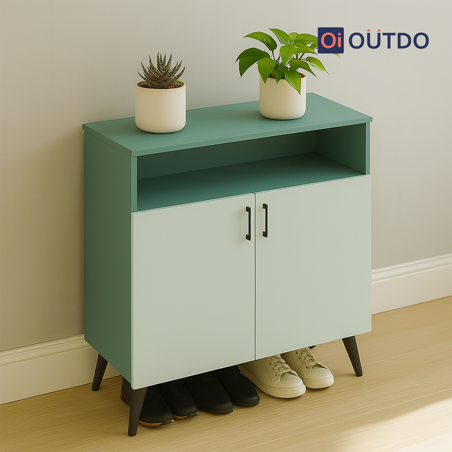 LiftLoom Shoe Rack | Fern Green Water Green