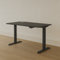 FlexPro Sit-Stand Smart Desk | Black Matt