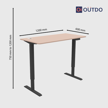 FlexPro Sit-Stand Smart Desk | Clay