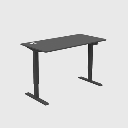 FlexPro Sit-Stand Smart Desk | Black Matt